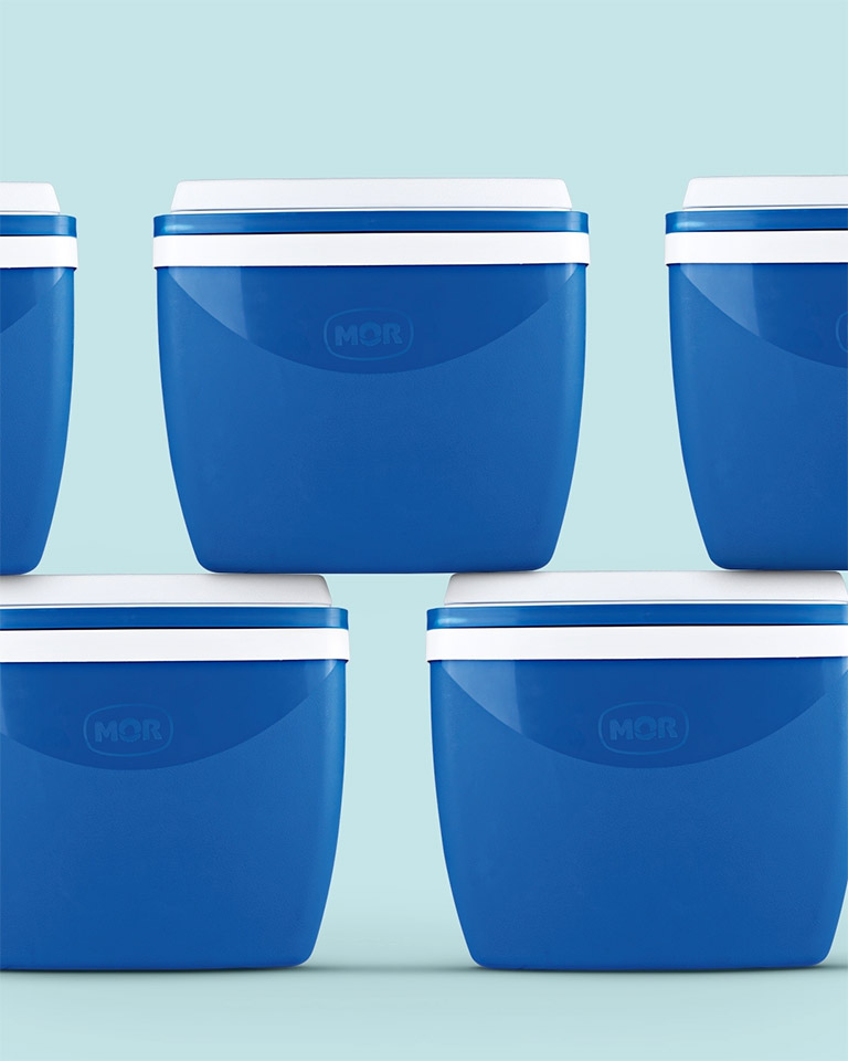 Tem Caixa Térmica Mor pra guardar bebidas da primavera ao verão. Busque a sua.