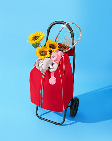 O Carrinho Bag To Go Plus leva tudo que você precisa.